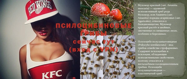 синтетический гашиш Новозыбков