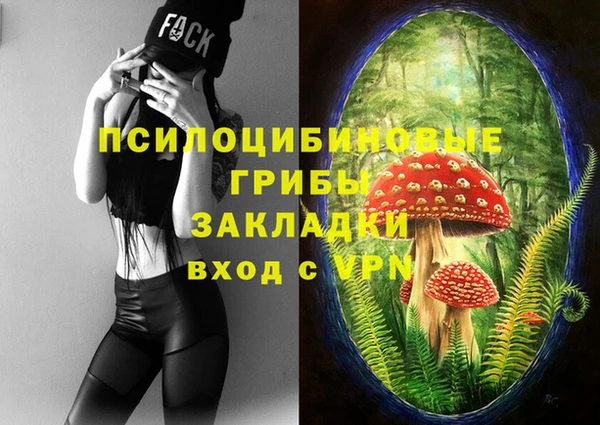 героин Няндома