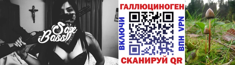 Псилоцибиновые грибы MAGIC MUSHROOMS  дарнет шоп  Касимов 