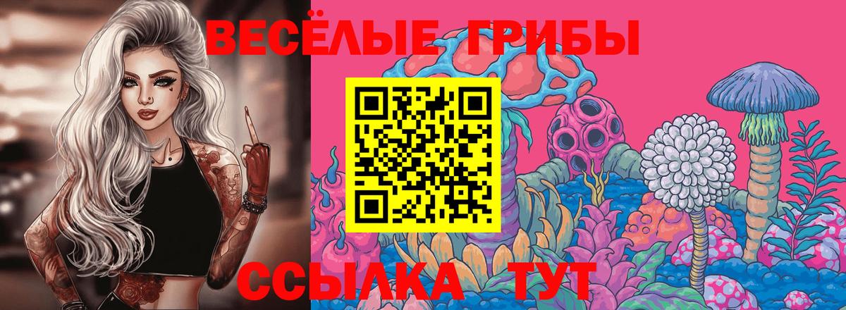 Псилоцибиновые грибы MAGIC MUSHROOMS  Вход с VPN  Касимов 