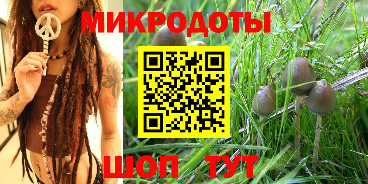 Псилоцибиновые грибы Касимов
