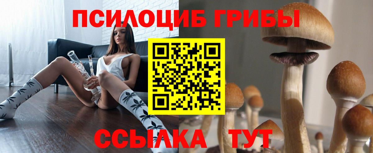 Псилоцибиновые грибы мухоморы Касимов