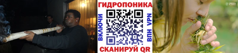 hydra ССЫЛКА  Касимов  Канабис Bruce Banner 